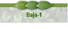 Baja-1