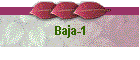 Baja-1