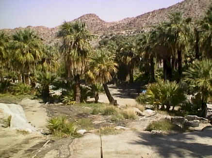 baja04.jpg (21926bytes)