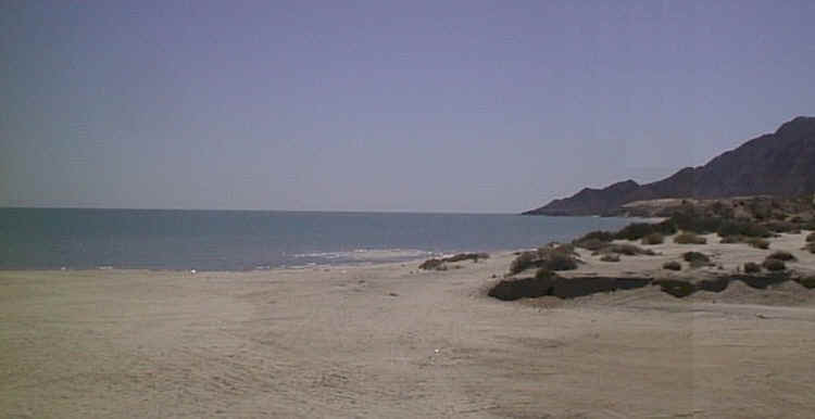 baja27.jpg (12838 bytes)