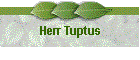 Herr Tuptus