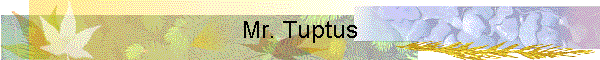 Mr. Tuptus