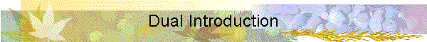 Dual Introduction