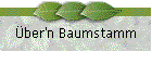 ber'n Baumstamm