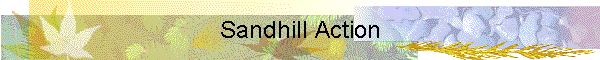 Sandhill Action