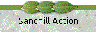 Sandhill Action
