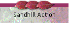 Sandhill Action