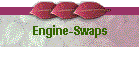 Engine-Swaps