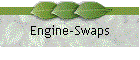 Engine-Swaps