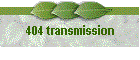 404 transmission
