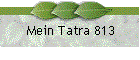 Mein Tatra 813